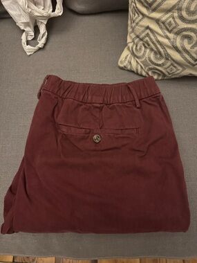 Maroon Casual Elastic Waist Pants